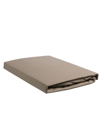 Beddinghouse Perkal-Splittopper-Spannbettlaken in Beige