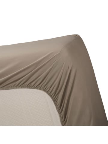 Beddinghouse Perkalowe prześcieradło w kolorze beżowym na gumce na rozdzielany topper