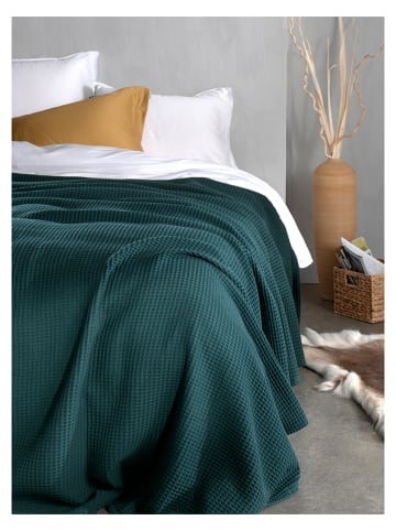 Heckett Lane Plaid in Petrol