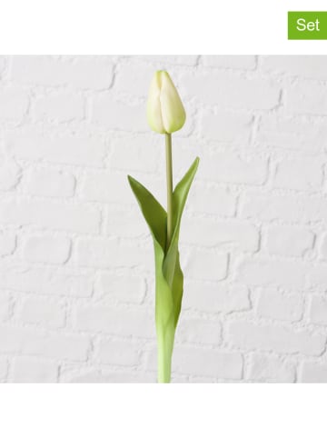 Boltze 2er-Set: Kunstblumen "Tulpe" in Creme/ Grün - (H)42 cm