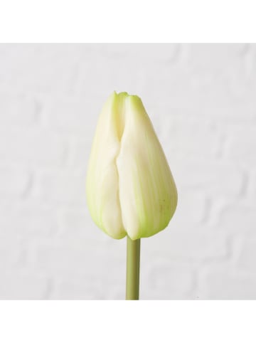 Boltze 2er-Set: Kunstblumen "Tulpe" in Creme/ Grün - (H)42 cm