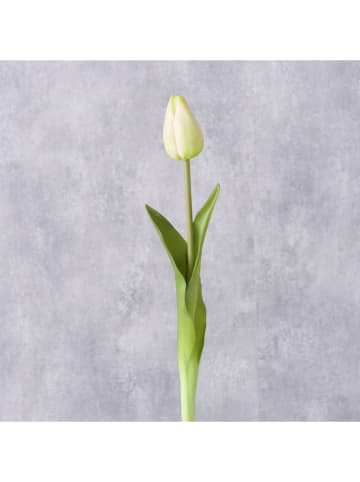 Boltze 2er-Set: Kunstblumen "Tulpe" in Creme/ Grün - (H)42 cm