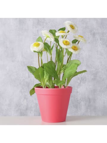 Boltze 2er-Set: Übertöpfe "Giardino" in Pink - (H)9,5  Ø 11 cm