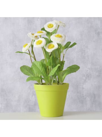 Boltze 2er-Set: Übertöpfe "Giardino" in Grün - (H)9,5  Ø 11 cm