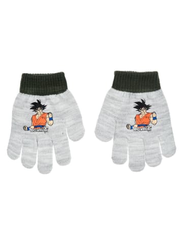 Dragon Ball Handschuhe "Dragonball" in Grau