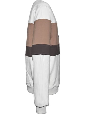 Blue Effect Sweatshirt wit/bruin