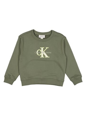 Calvin Klein Sweatshirt in Khaki