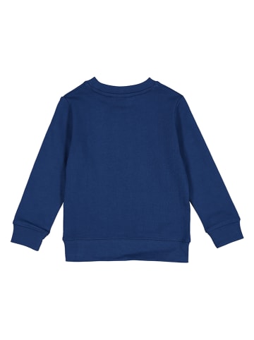 Calvin Klein Bluza w kolorze niebieskim