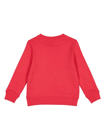 Calvin Klein Sweatshirt rood