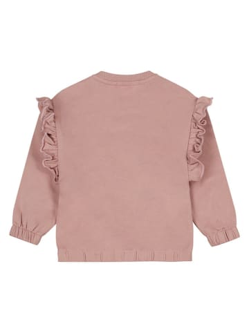 Dirkje Sweatshirt lichtroze