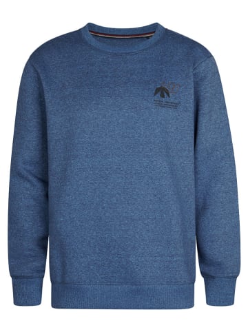 Petrol Industries Sweatshirt in Blau