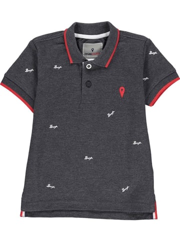 Peak Mountain Poloshirt in Grau