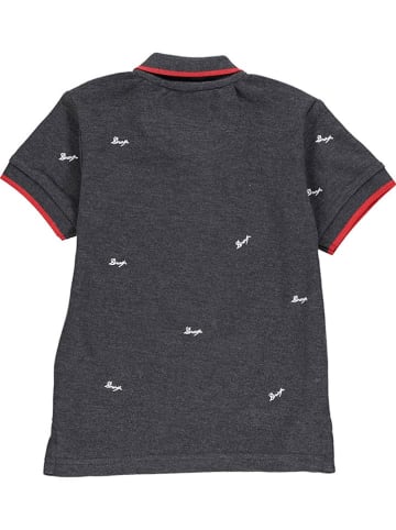 Peak Mountain Poloshirt in Grau