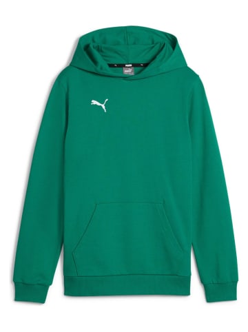 Puma Hoodie groen