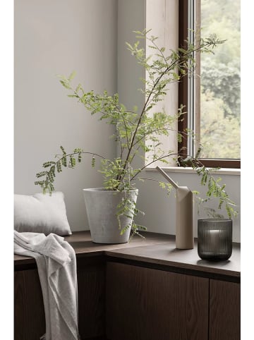 Blomus Konewka "Coloibri" w kolorze beżowym - 1 l