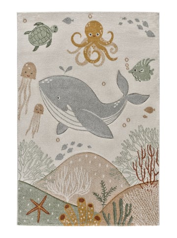 Atticgo Kurzflor-Teppich "Balloon" in Bunt