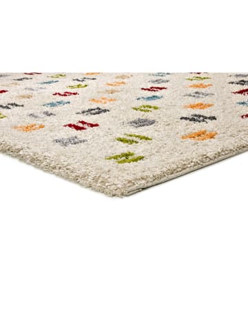 Atticgo Hochflor-Teppich "Bremen" in Creme/ Bunt