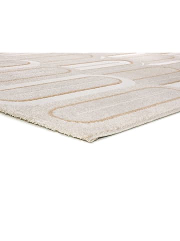Atticgo Laagpolig tapijt "Flora" beige/wit