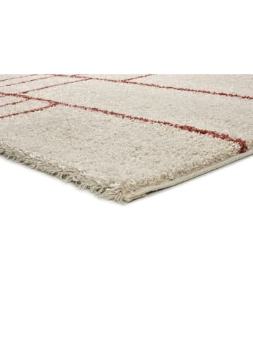 Atticgo Kurzflor-Teppich "Helia" in Creme/ Braun