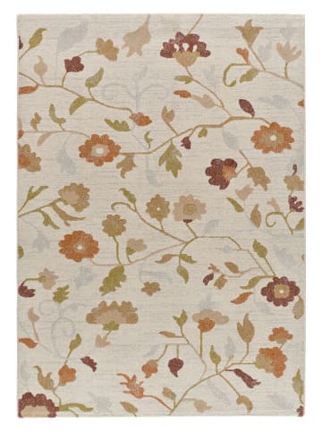 Atticgo Kurzflor-Teppich "Tamaris" in Bunt