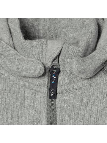 Isbjörn Fleecejacke in Grau