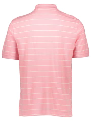 Gant Poloshirt in Rosa