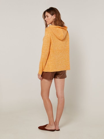 Rodier Hoodie oranje