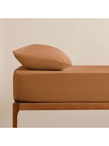 Pierre Cardin Perkal-Spannbettlaken in Hellbraun