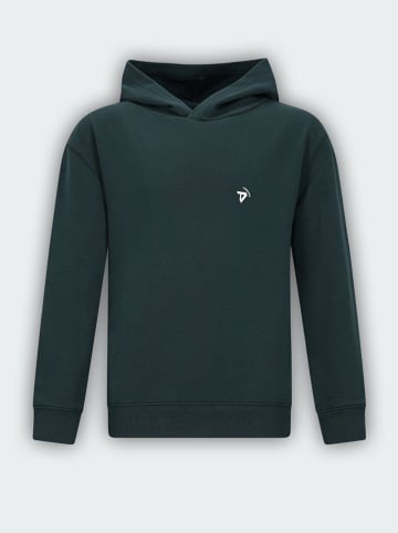 Tygo & Vito Hoodie "Nigel" in Grün