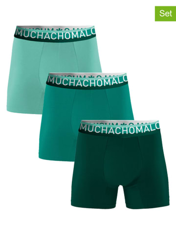 Muchachomalo 3er-Set: Boxershorts in Grün