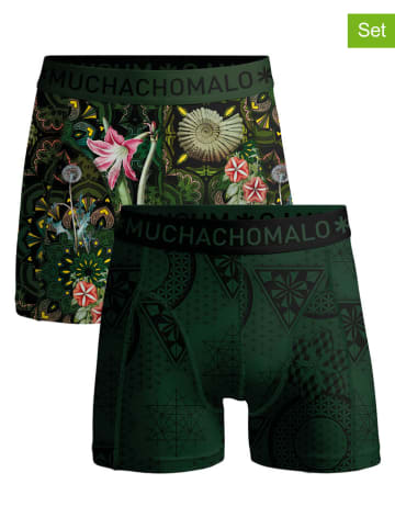 Muchachomalo 2er-Set: Boxershorts in Grün