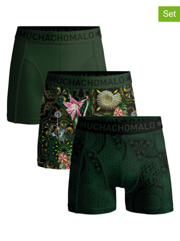 Muchachomalo 3er-Set: Boxershorts in Grün