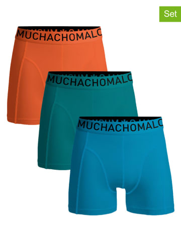 Muchachomalo 3er-Set: Boxershorts in Blau/ Türkis/ Orange