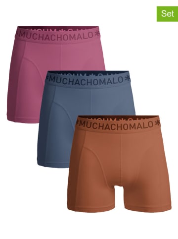 Muchachomalo 3er-Set: Boxershorts in Pink/ Orange/ Blau
