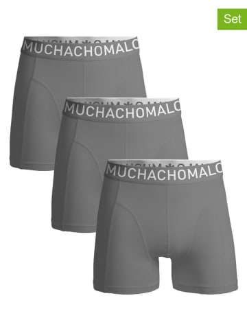 Muchachomalo 3er-Set: Boxershorts in Grau