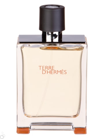 Hermès Terre d'Hermes - eau de toilette, 100 ml