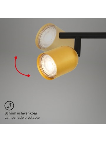Briloner Deckenleuchte in Schwarz/ Gold - (B)27,5 cm 
