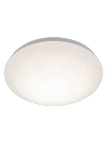 Briloner Lampa sufitowa LED w kolorze białym - KEE F (A do G)