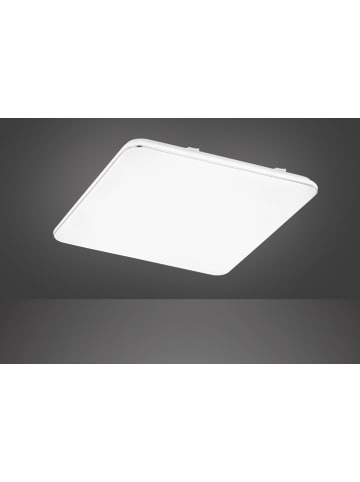 FISCHER & HONSEL Ledplafonnière "Aldo" wit - (B)53 x (D)53 cm