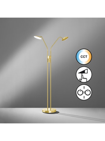 FISCHER & HONSEL LED-Standleuchte ''Tallri'' - EEK F (EEK A bis G) - (H)135 x Ø 25,5 cm