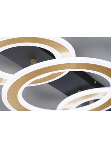 FISCHER & HONSEL Ledplafonnière "Circle" zwart/goudkleurig - (B)76,5 x (H)8 x (D)36 cm
