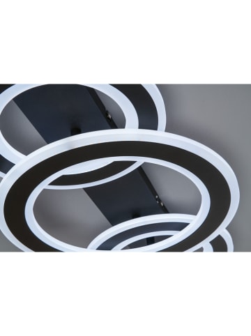 FISCHER & HONSEL LED-Deckenleuchte "Circle" in Schwarz - (B)76,5 x (H)8 x (T)36 cm