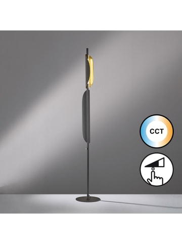 FISCHER & HONSEL LED-Standleuchte "Skal" in Schwarz/ Gold - (H)155 x Ø 25 cm