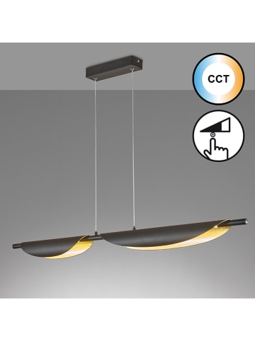 FISCHER & HONSEL LED-Hängeleuchte in Schwarz/ Gold - (B)108 x (H)8 cm