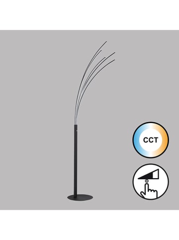 FISCHER & HONSEL Staande ledlamp "Ellmau" - energieklasse F (A tot G) - (H)190 cm