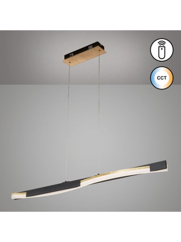 FISCHER & HONSEL Lampa wisząca LED "Bridge" w kolorze białym - 100 x 160 x 9 cm