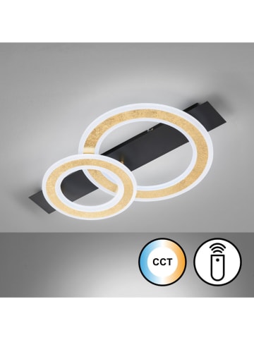 FISCHER & HONSEL Lampa sufitowa LED "Circle" w kolorze złoto-czarnym - 61 x 7,3 x 36 cm