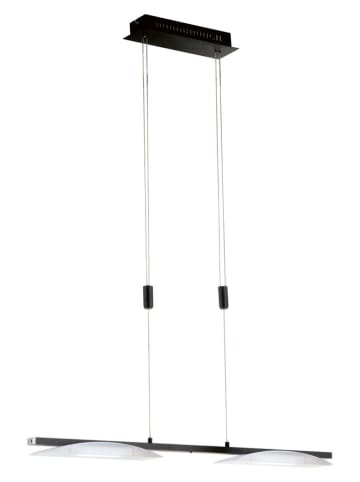 FISCHER & HONSEL LED-Pendelleuchte "Kop" in Schwarz - (B)150 x (H)84 x (T)5 cm