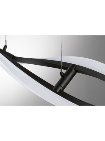 FISCHER & HONSEL LED-Pendelleuchte "Torcido" in Schwarz - (B)105,5 x (H)150 cm