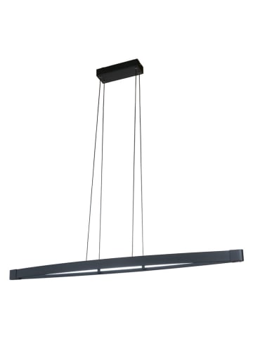 FISCHER & HONSEL Lampa wisząca LED "Fenga" w kolorze czarnym - 119 x 150 x 14,5 cm